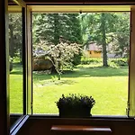 Du Grand Arbre * Le Ménil