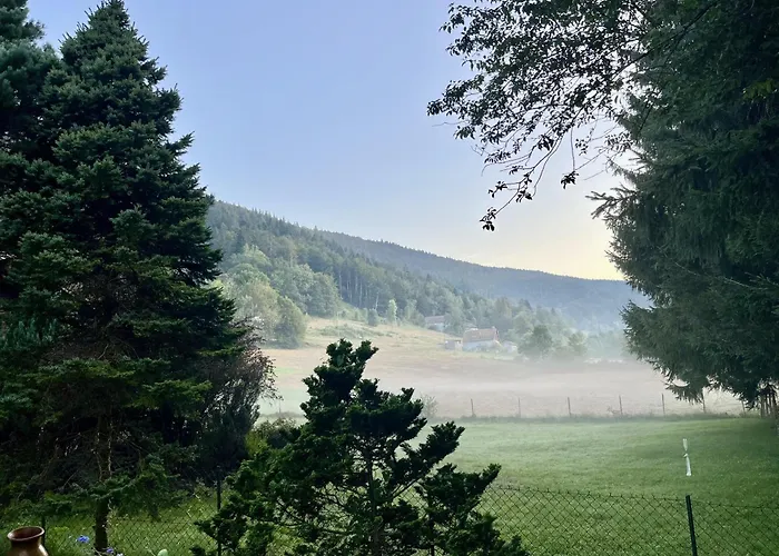 Du Grand Arbre Chalet