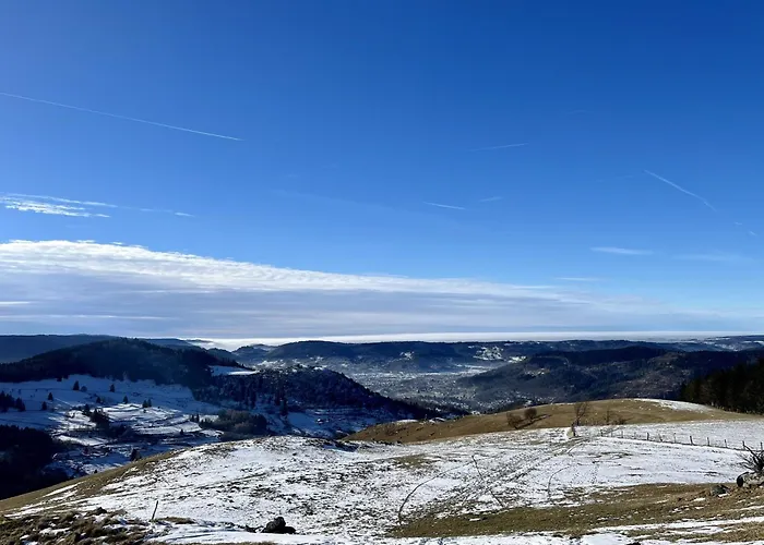 Chalet Du Grand Arbre *